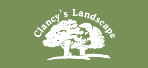 Mobile Websites by Market Hardware